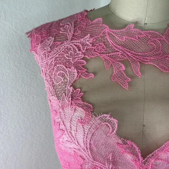 Tadashi Shoji Ines Lace Sheer Floral Open Backless Rose Silk Dress